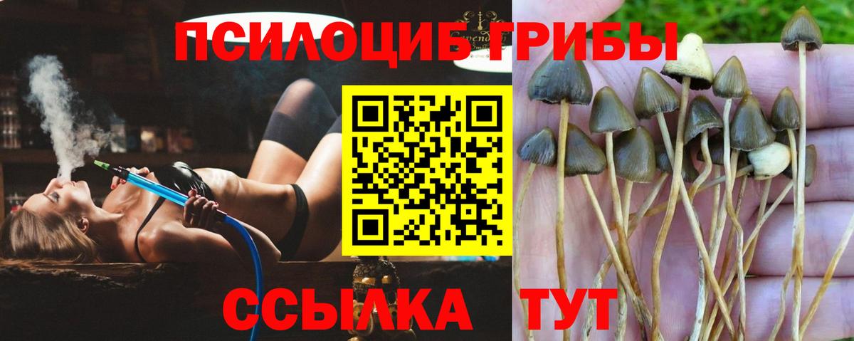 Псилоцибиновые грибы мухоморы Люберцы